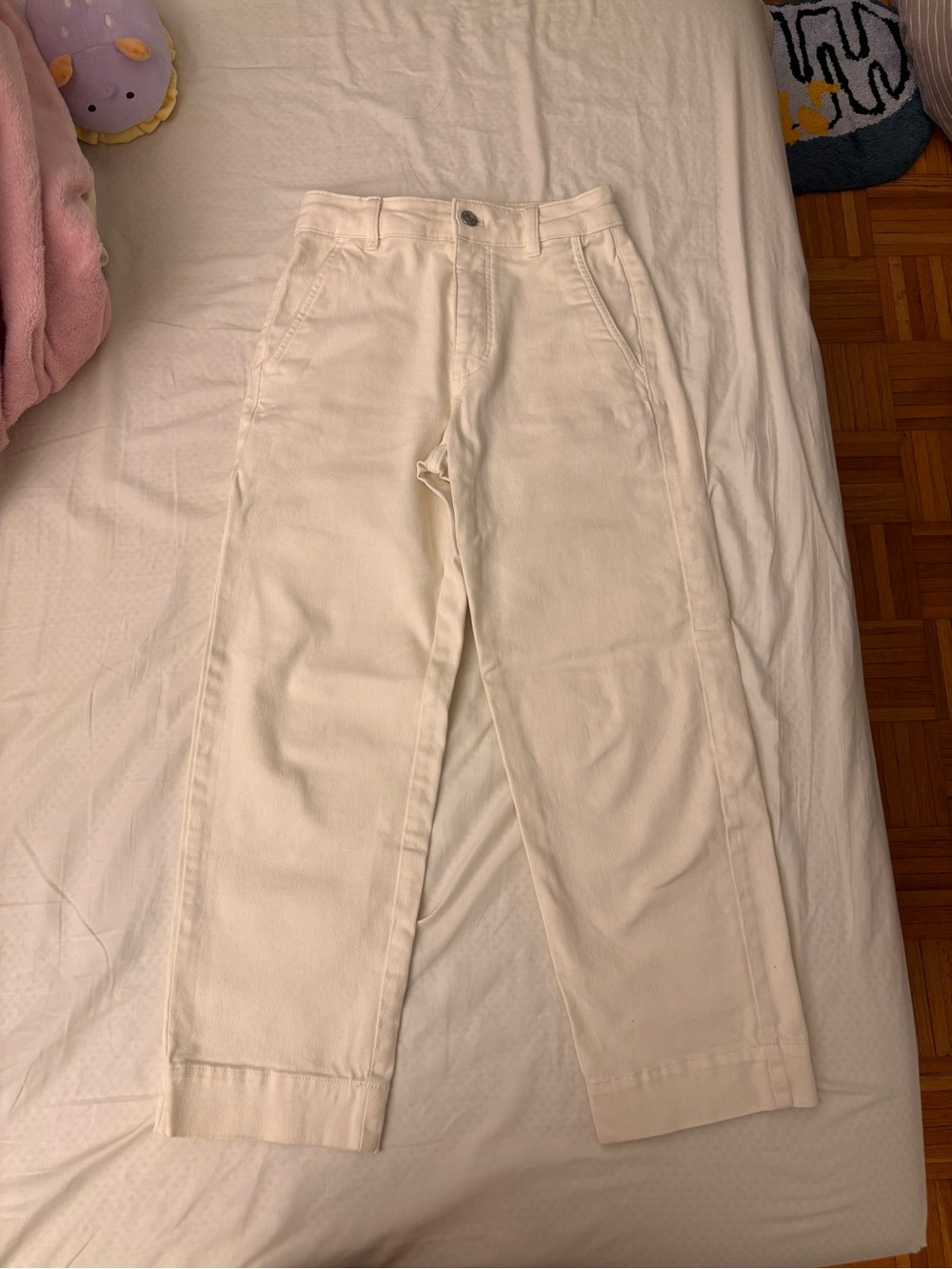 Everlane Utility Straight Leg pant 00R